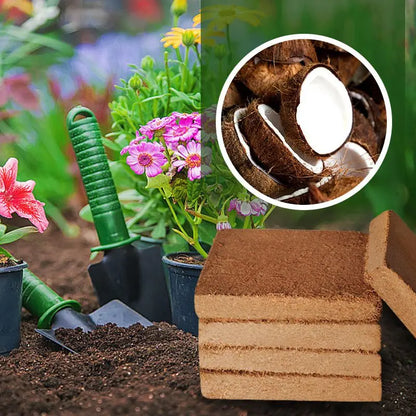 EcoGrow Coconut Coir Pellets – Thrive Naturally
